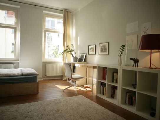 Bright an cozy flat in Prenzlauer Berg