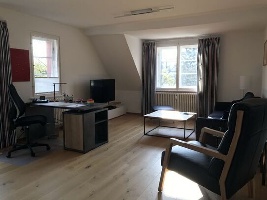 Spacious business suite with home office, Dresden - Amsterdam Apartments for Rent