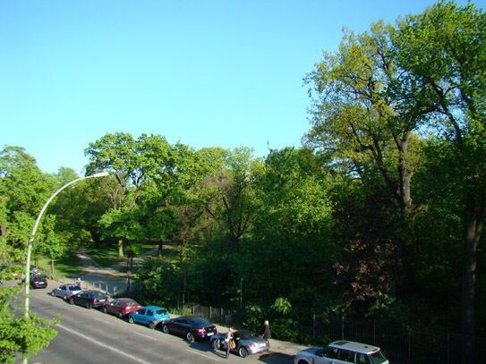 Neue Wohnung im Prenzlauer Berg direkt gegenüber Volkspark, gemeinsame Küche