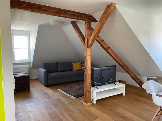 Awesome 2 room rooftop studio in Karlsruhe close to central station with air conditioning, Karlsruhe - Amsterdam Apartm…