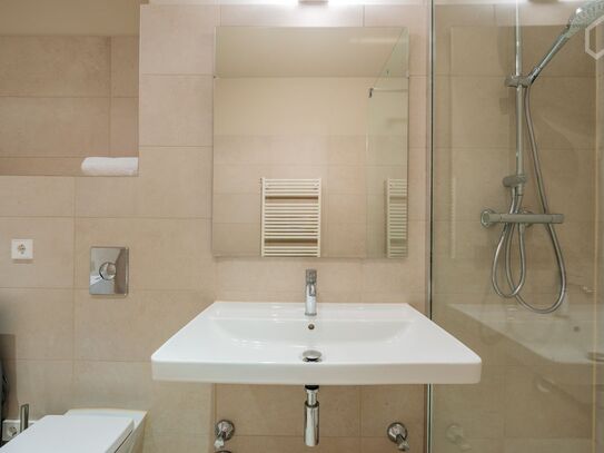 Luxurious apartment in prime Berlin location - Unter den Linden Berlin Mitte, Berlin - Amsterdam Apartments for Rent