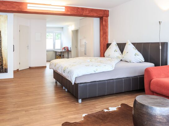 Superior studio apartment in Friedrichshafen