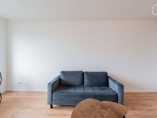 Sunny apartment overlooking the rooftops of Berlin, Berlin - Amsterdam Apartments for Rent