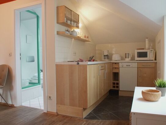 Chic penthouse apartment in upscale residential area, Dresden - Amsterdam Apartments for Rent