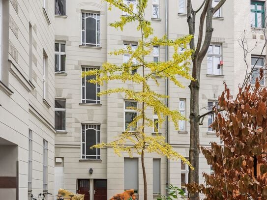 Modern, bright home in Prenzlauer Berg