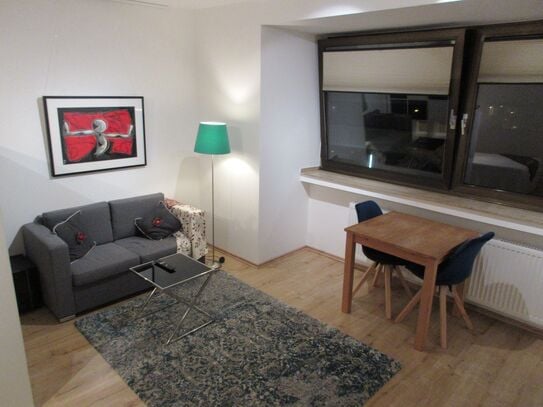 Modern apartment (32sqm) with separate kitchen and bathroom