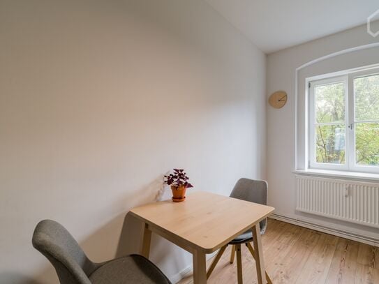 Beautiful apartment in the green and quiet part of Prenzlauer Berg in Bötzowviertel