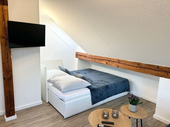 Modern & charming suite with big roof terrace (Langenhagen)