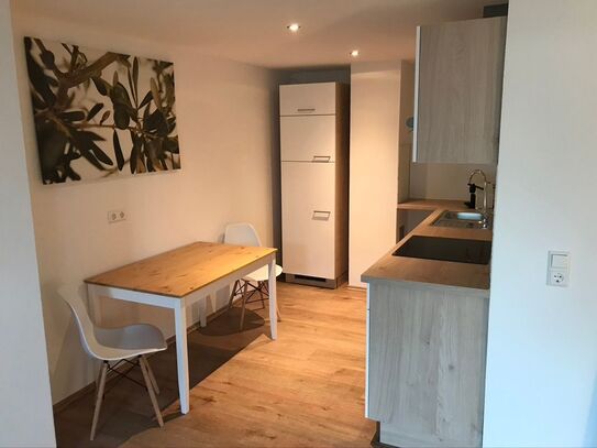 Newly renovated apartment on the Sonnenberg (Pforzheim)