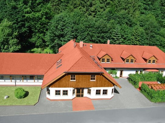 Fantastisches, wunderschönes Apartment in Nahetal-Waldau (Schleusegrund)