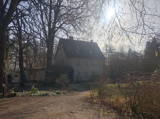 Gemütliches und liebevoll eingerichtetes Studio im Herzen von Kassel