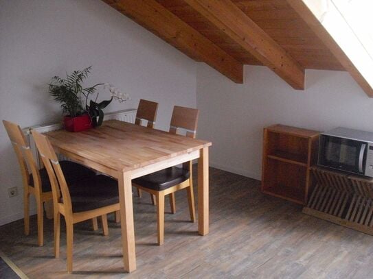 Quiet & gorgeous apartment in quiet street, Tübingen