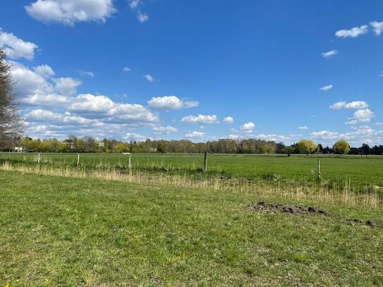 Cozy bungalow surrounded by nature, Berlin - Amsterdam Apartments for Rent