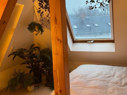 Modisches und fantastisches Studio (Dresden) | Charming and wonderful studio (Dresden)