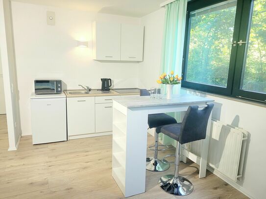 Modern möbliertes Apartment in Ludwigshafen-Friesenheim, BASF Nähe