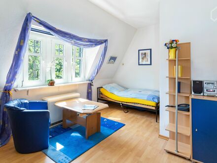 Modernes, schickes Apartment mitten in Frankfurt am Main