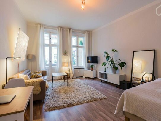 Helles, großzügiges 1Zimmer Apartment aus der Gründerzeit ,mit Balkon