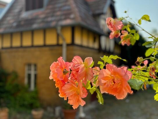 Luxury house, country style living in the city