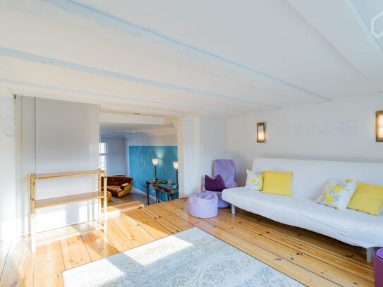 Spacious old-style, charming 110 m2 lux. Apartment, Berlin - Amsterdam Apartments for Rent