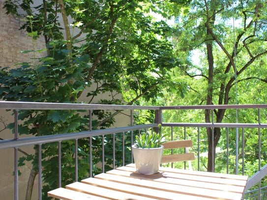 Cozy, bright suite with two balconies