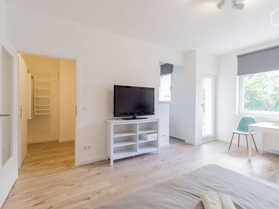 Freshly renovated Apartment, with beautiful Park in front of the Door and S/W Balcony, Berlin - Amsterdam Apartments fo…