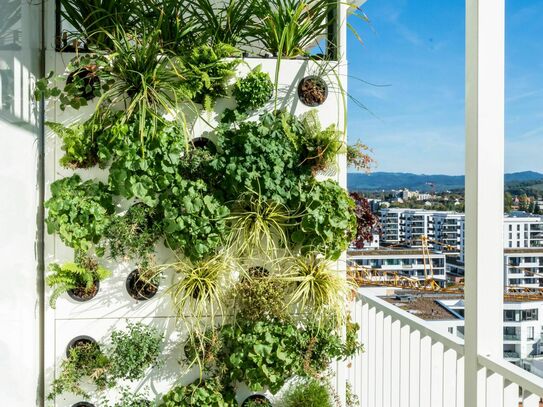 Ruhige & wunderschöne Wohnung auf Zeit in Freiburg im Breisgau (M View)