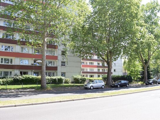 Spacious & lovely flat in Duisburg