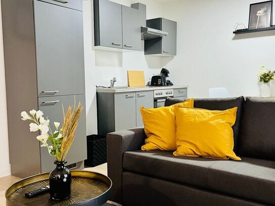 Great and bright suite in Erfurt, Erfurt - Amsterdam Apartments for Rent