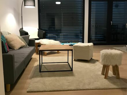 Exclusives möbiliertes modernes Apartment in der Nähe von Mainz