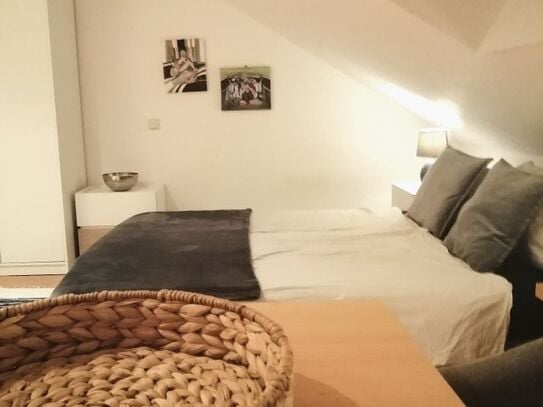 Cozy little Studio apartment in Frankfurt incl. Cleaning service, Frankfurt - Amsterdam Apartments for Rent