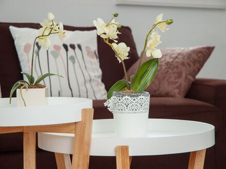 Zentrale und Modische Wohnung in Siegburg | Central and Beautiful Apartment in Siegburg
