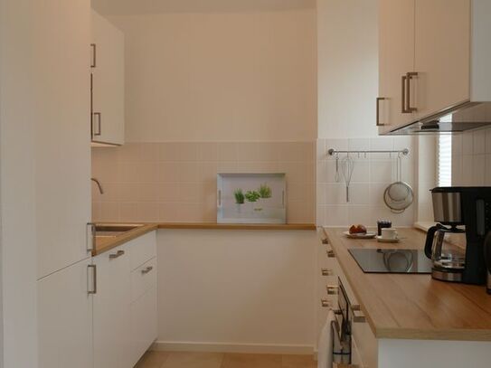 Comfortable home super central and quiet in Heidelberg-Neuenheim, Heidelberg - Amsterdam Apartments for Rent