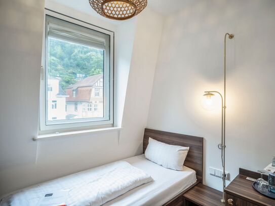 The Minimalist (No Kitchen), Heidelberg - Amsterdam Apartments for Rent