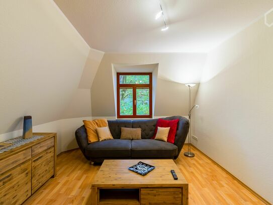 Top floor apartment in Dresden-Blasewitz, quiet backstreet