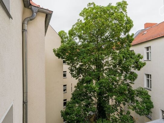 bright and cosy apartment in most wanted Prenzlauer Berg, close to Kollwitzkiez, Berlin - Amsterdam Apartments for Rent