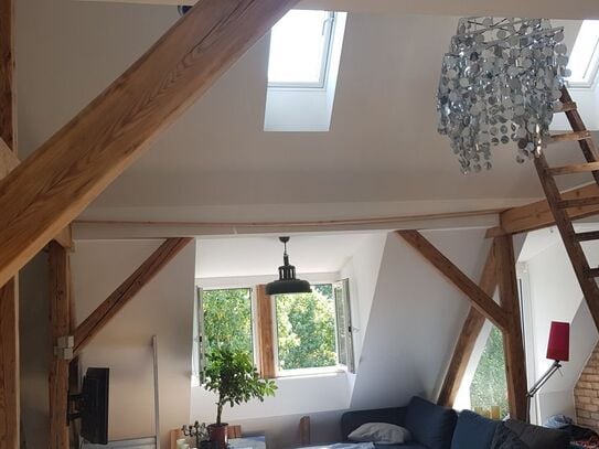 Light-flooded attic apartment (Wedding/Mitte), Berlin - Amsterdam Apartments for Rent