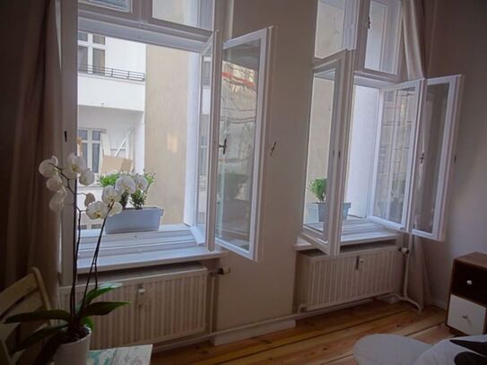 Spacious Cosy Artist Flat