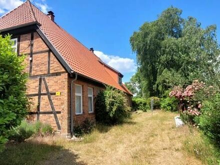 Ruhiges, neues Loft in der Natur(Alt Krenzlin)