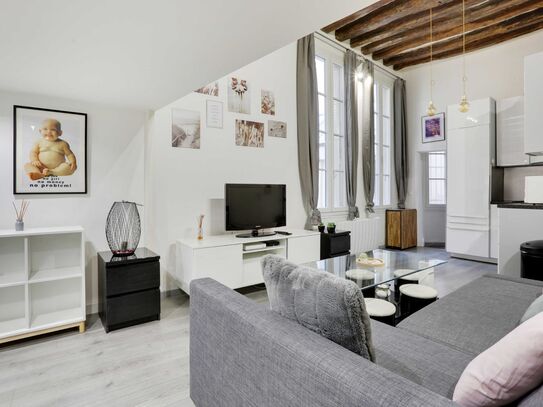 Wonderful studio in the Marais