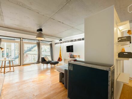 Helles Neubau-Loft mit Hof- / Balkonnutzung auf dem Gelände einer ehem. Wäscherei