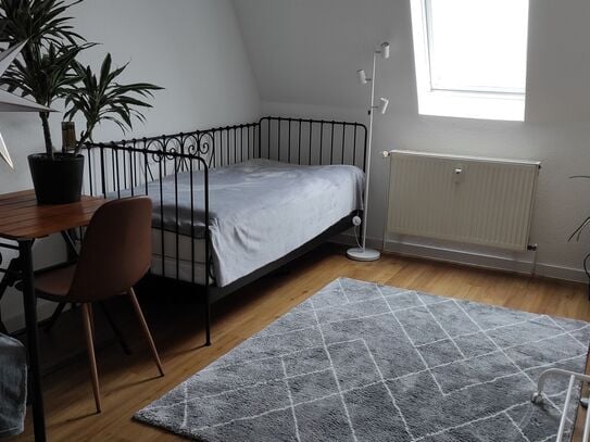 Spacious and perfect apartment (Magdeburg)