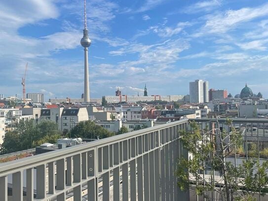 Designer flat in Berlin Mitte with rooftop, Berlin - Amsterdam Apartments for Rent