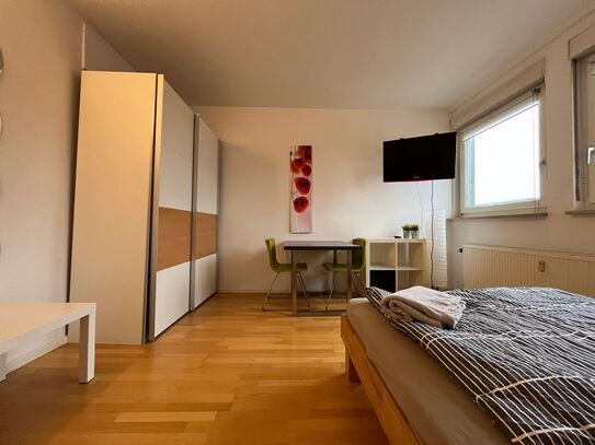 Simplex Apartments: spacious apartment, Karlsruhe, Karlsruhe - Amsterdam Apartments for Rent