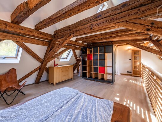 Apartment in Mühlen Castle