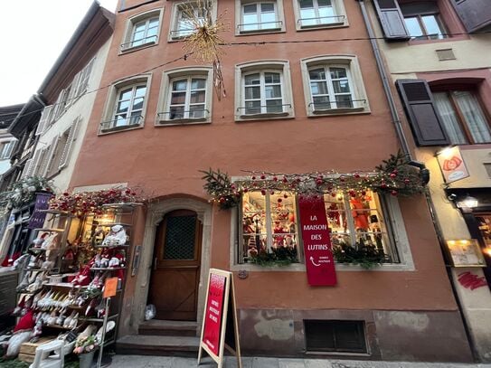 Spacious and cozy flat, Strasbourg Petite France