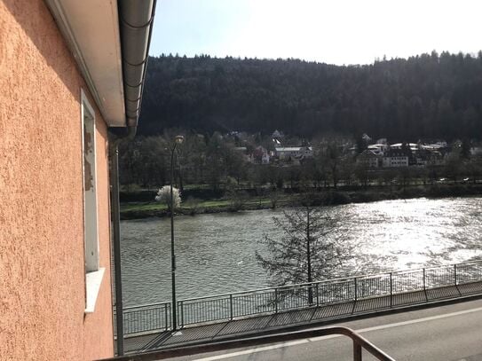 House with 4 bedrooms directly at the Neckar river with a wonderful view on nature, Heidelberg - Amsterdam Apartments f…