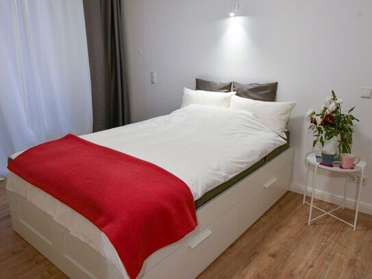 Fashionable and cosy suite in Berlin Mitte with high quality equipment, Berlin - Amsterdam Apartments for Rent