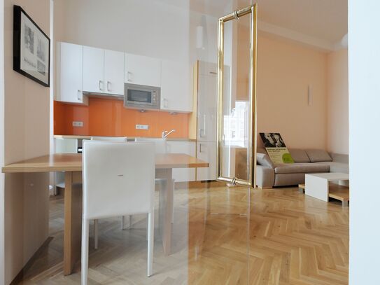 Schönes, modernes Apartment nahe Stadtzentrum (Wien)