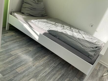 Häusliches und charmantes Studio Apartment in Mitte | Wonderful and pretty suite located in Mitte