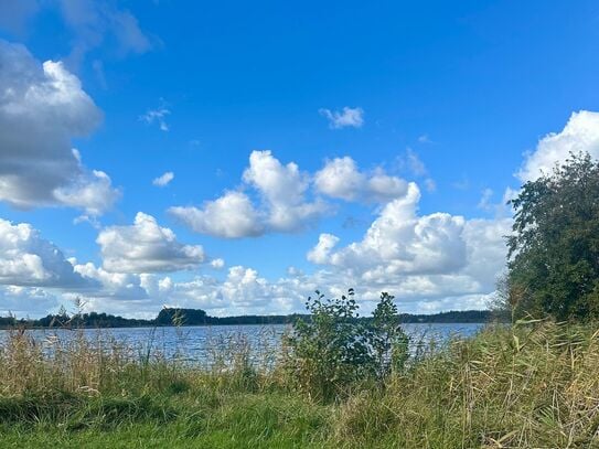 Cozy, small home in the middle of nature in Werder (Havel)